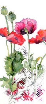 A collection of red whimsical poppies